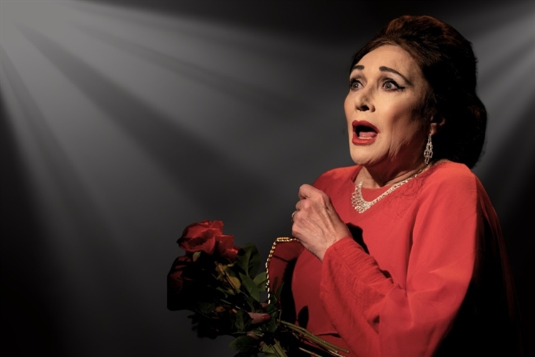 Opera Singer Theater Theatre Review: The Opera Singer - Tones Of Truth, Or Fame And Frailty ...